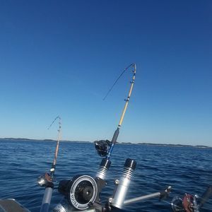 Meet your Posher, Patrick